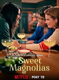 voir serie A l'ombre des magnolias en streaming voir serie A l'ombre des magnolias en streaming