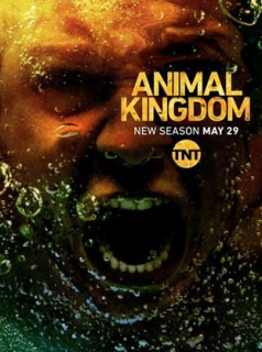 voir serie Animal Kingdom en streaming voir serie Animal Kingdom en streaming