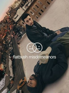 voir serie Flatbush Misdemeanors en streaming voir serie Flatbush Misdemeanors en streaming