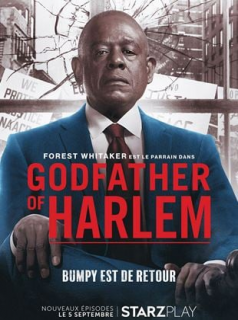 voir serie Godfather of Harlem en streaming voir serie Godfather of Harlem en streaming