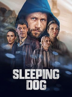 voir serie Sleeping Dog en streaming voir serie Sleeping Dog en streaming