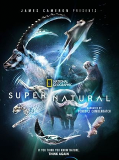 voir serie Les pouvoirs extraordinaires de la nature en streaming voir serie Les pouvoirs extraordinaires de la nature en streaming