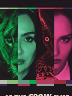 voir serie Les Ailes de l'ambition en streaming voir serie Les Ailes de l'ambition en streaming