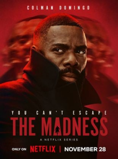 voir serie The Madness en streaming voir serie The Madness en streaming